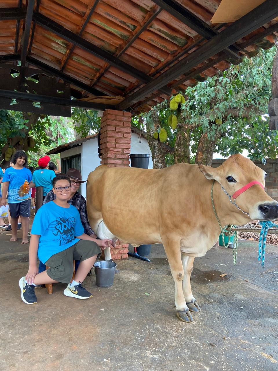 WhatsApp Image 2025-06-30 at 17.52.46 (1)